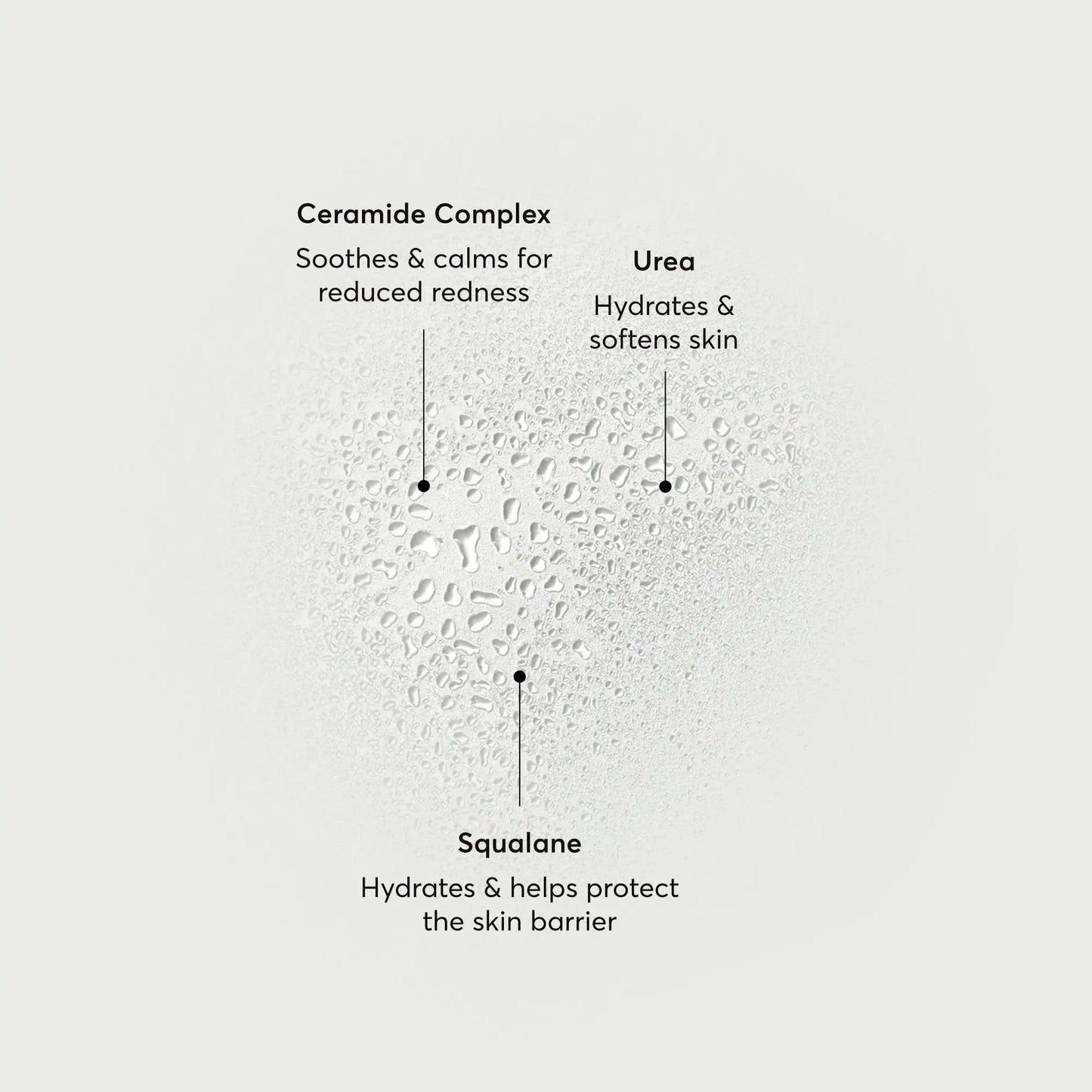 barrier-bounce-bi-phase-mist-c0 NATR-10167-Alt-Images-Barrier-Bounce-Bi-Phase-Toner-Mist_01.webp